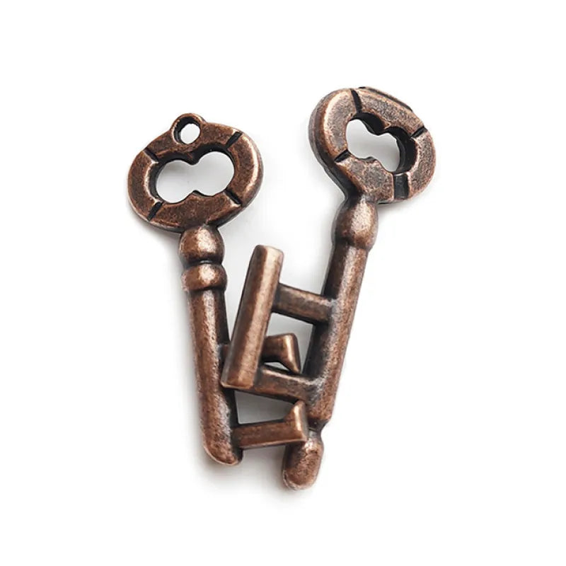 Metal Puzzle Brain Teaser Gift Set, Several Intricate Metal Puzzles in One Set for Birthdays and Holidays