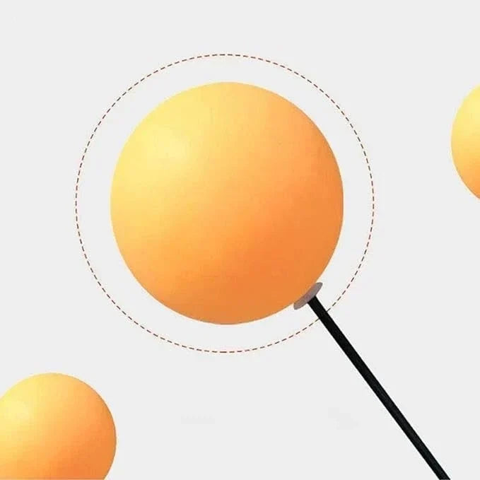 Ping Pong Trainer Set with Adjustable Height & Stable Base | Improve Reflexes and Skills